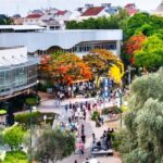 ?????? ??? ??? ?????? ????? 80 ???? ???